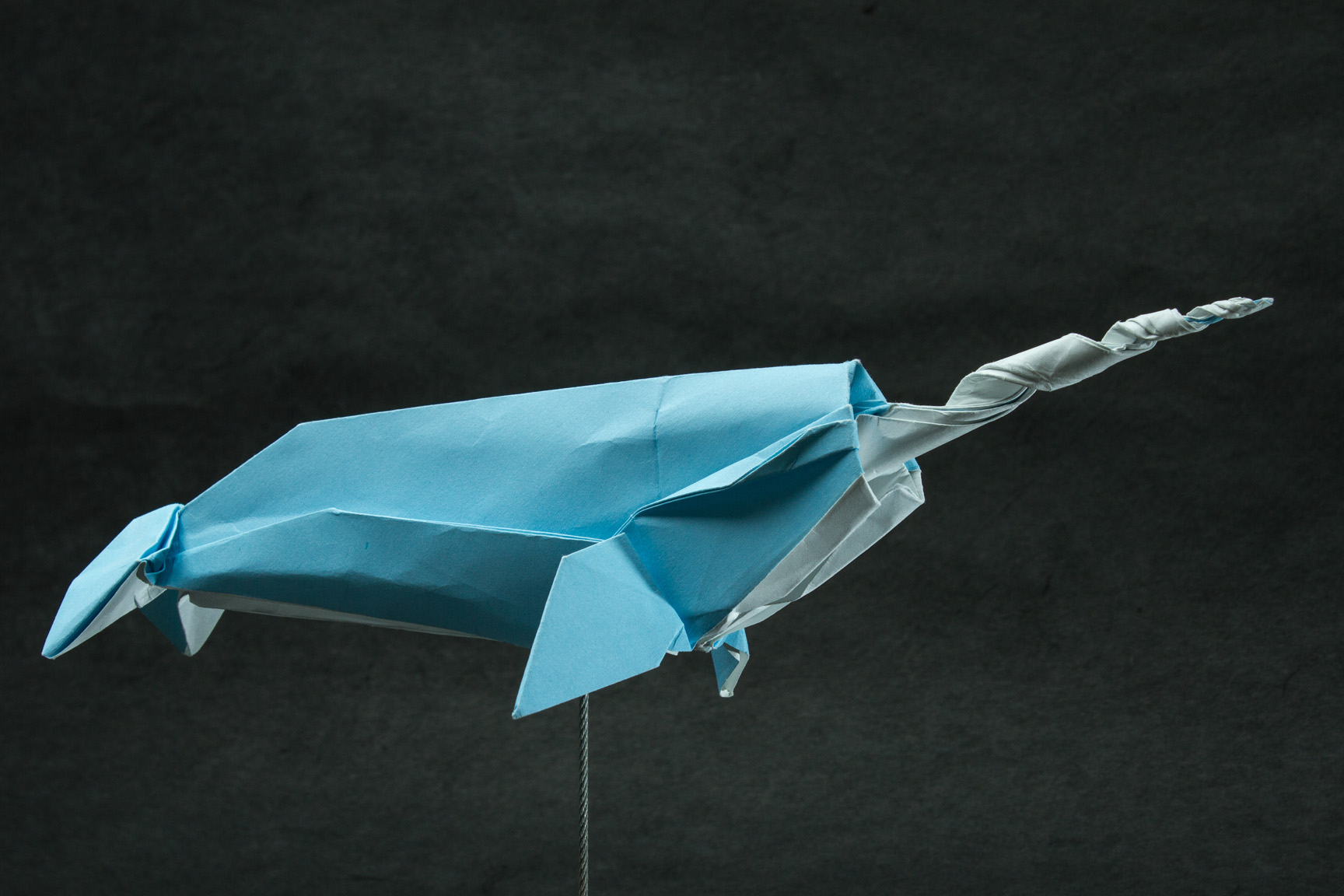 Zing Origami Arctic Marine Animals