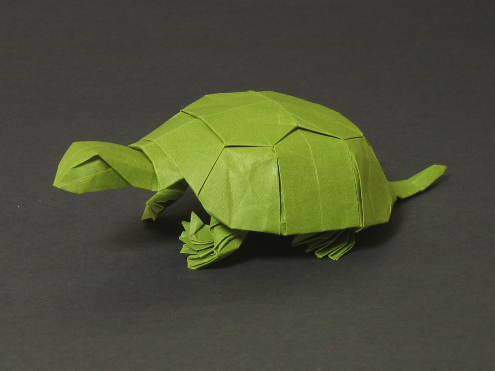 sea turtle origami turtle sea turtle origami turtle