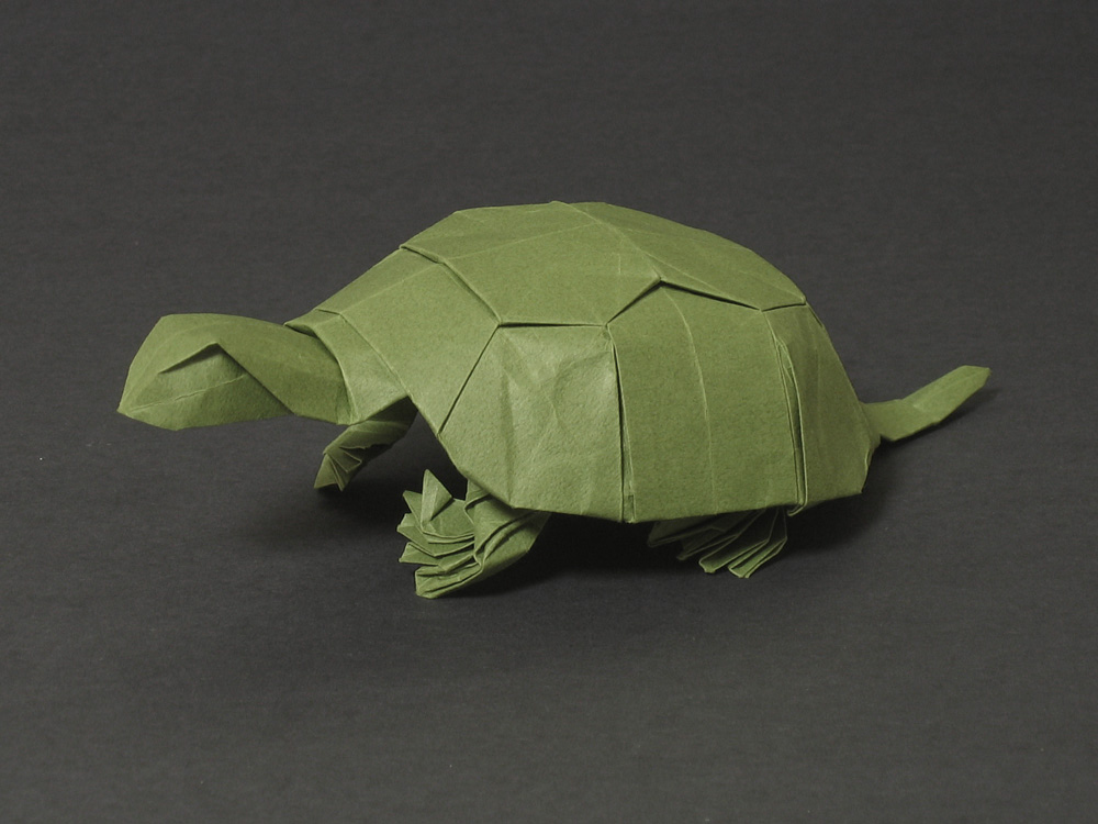 Index of /origami/oriPics/turtle